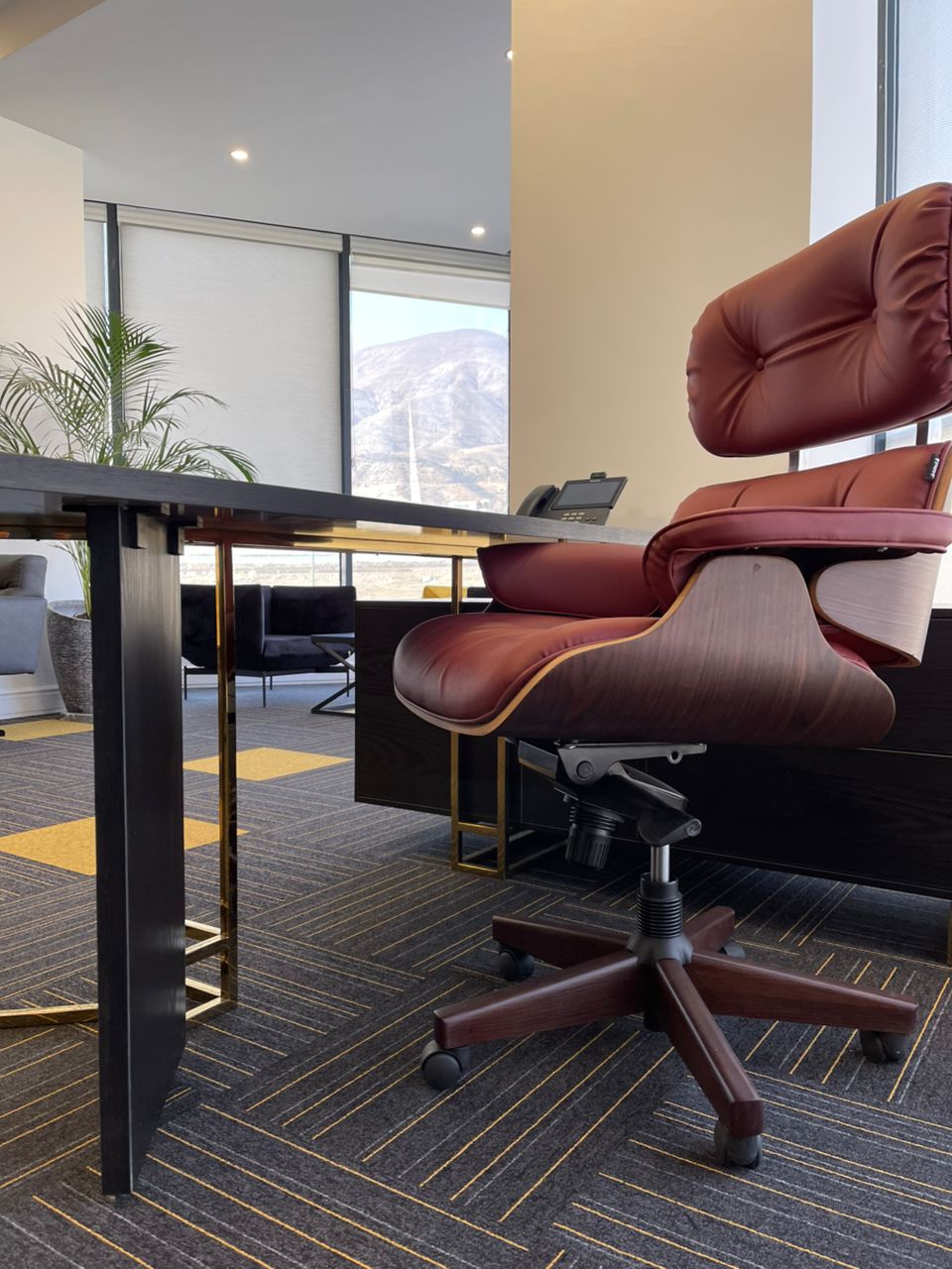 WhatsApp Image 2025-01-05 at 3.20.11 PM